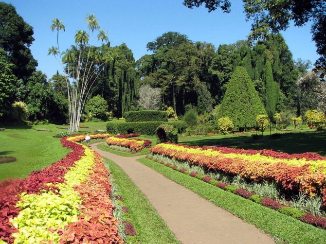 1200px Botanical_Garden_of_Peradeniya_03